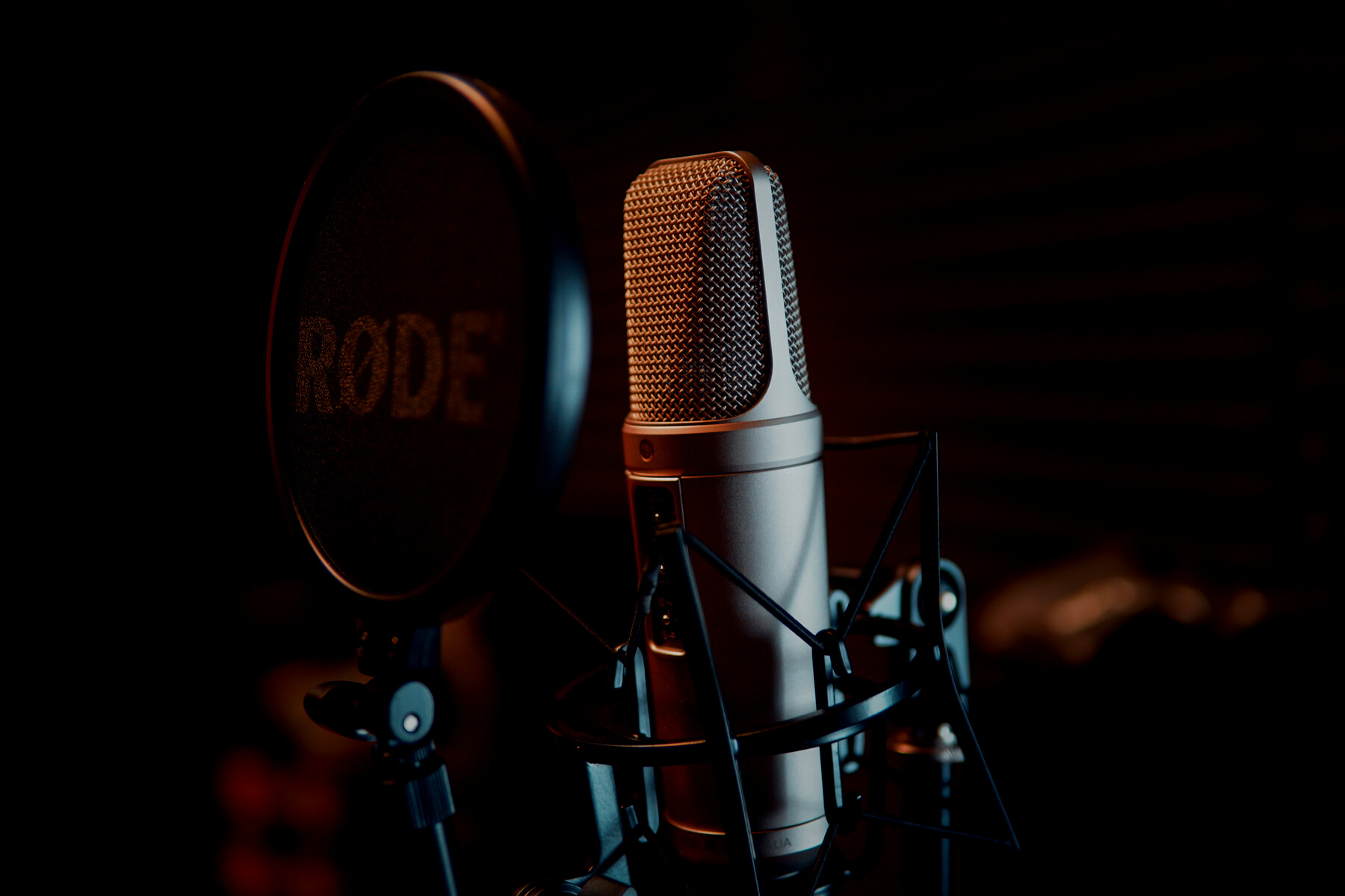 Silver Dynamic Microphone on Black Microphone Stand